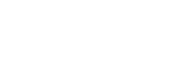 LAVISQ